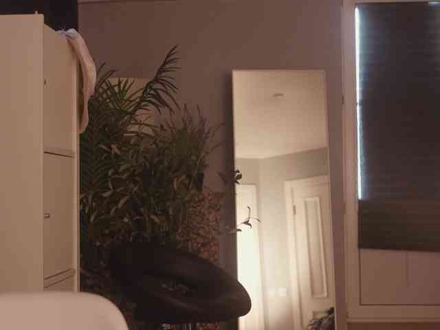 Mypassion_ webcam
