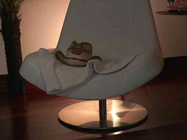 katyerave webcam