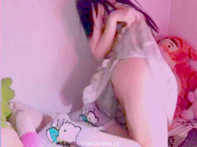 Modelo: YokoCam