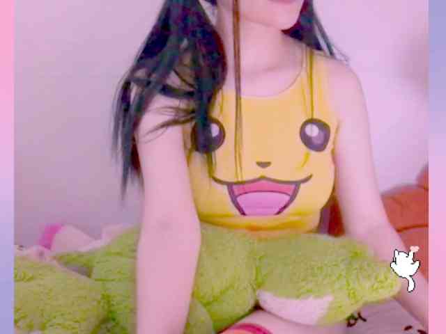 Modelo: YokoCam