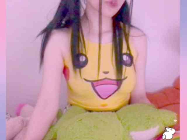 Modelo: YokoCam