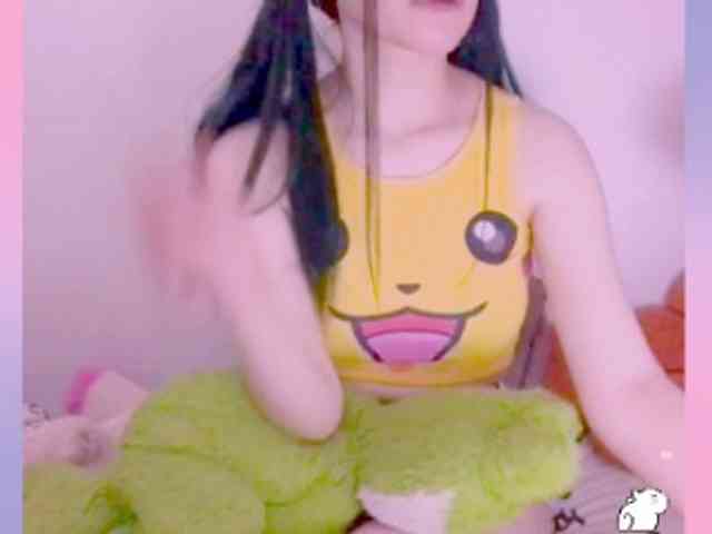 Modelo: YokoCam