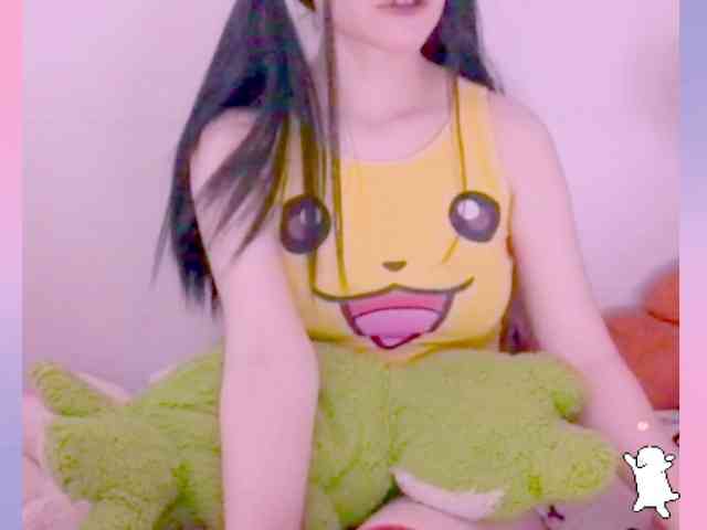 YokoCam webcam