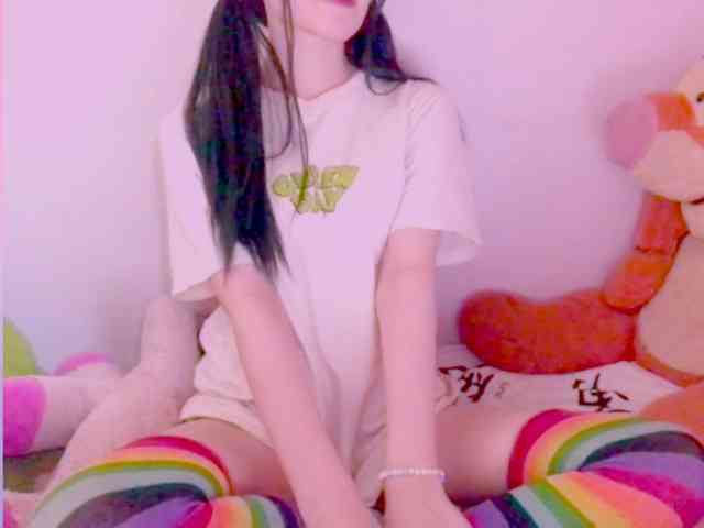 Modelo: YokoCam