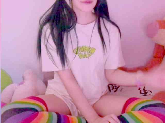 Modelo: YokoCam