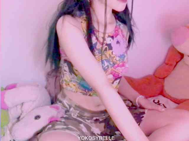 Modelo: YokoCam