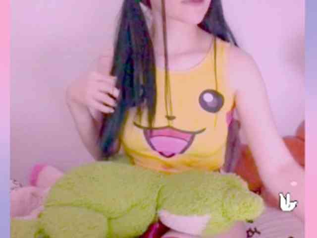 Modelo: YokoCam