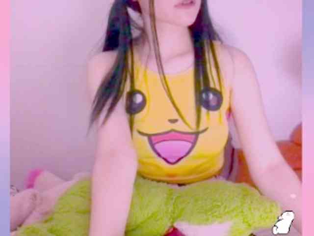 Modelo: YokoCam