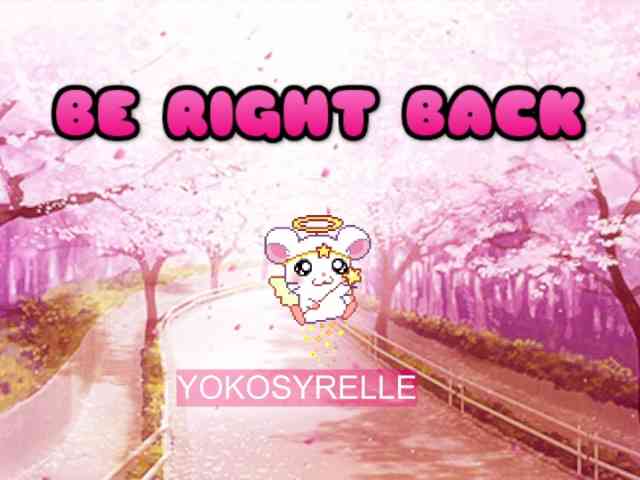 Modelo: YokoCam
