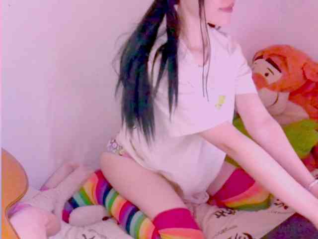 Modelo: YokoCam
