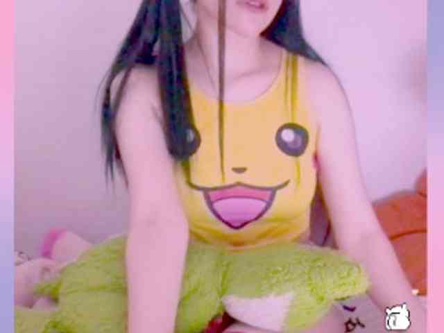Modelo: YokoCam