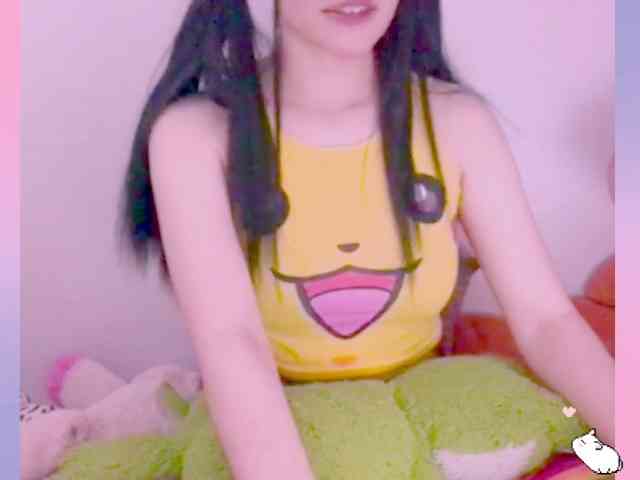 Modelo: YokoCam