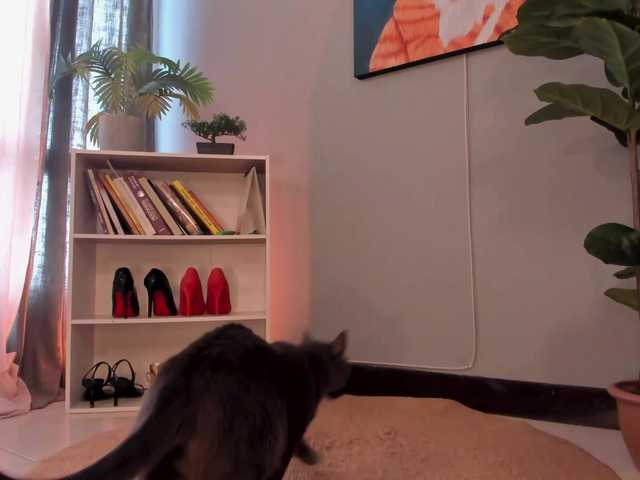 LiaPearce live cam on BongaCams