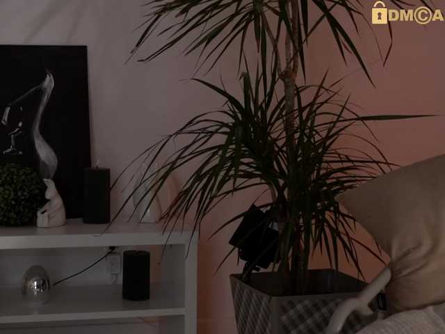1Nasty live webcam show
