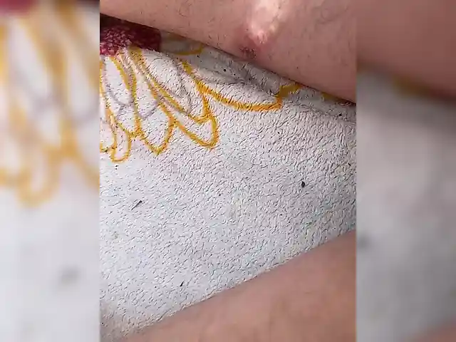sexpara2022lo