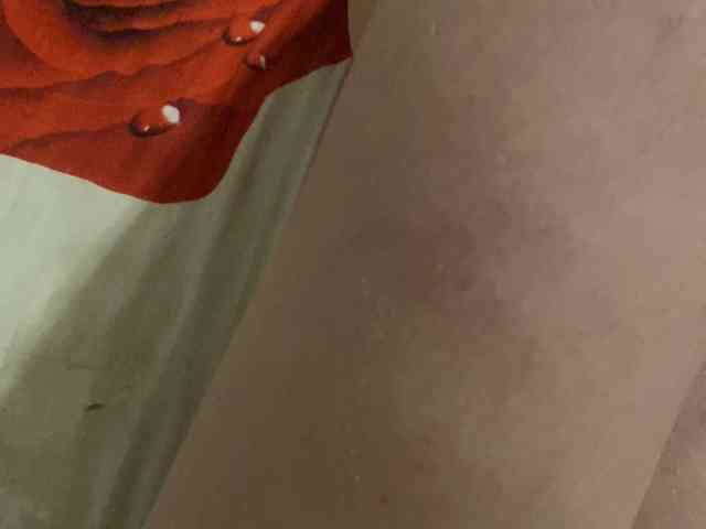 _POLUSLADKOE_ webcam
