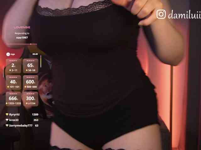 damilui webcam