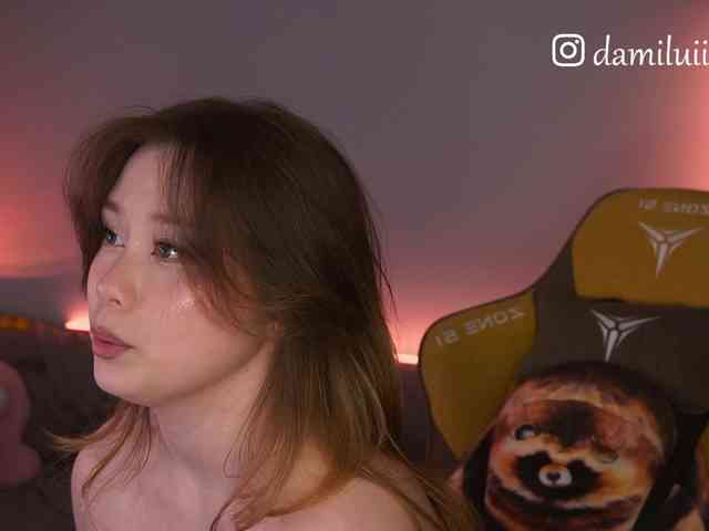 damilui webcam