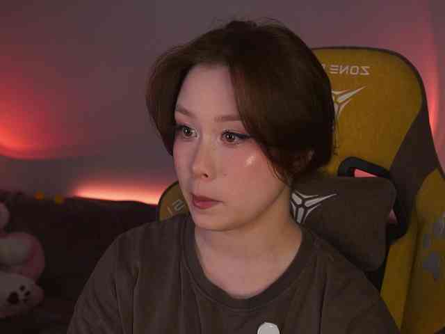 damilui webcam