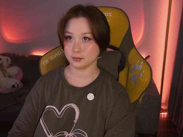 damilui webcam
