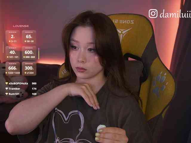 damilui webcam