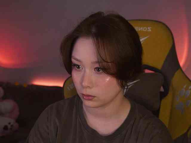 damilui webcam