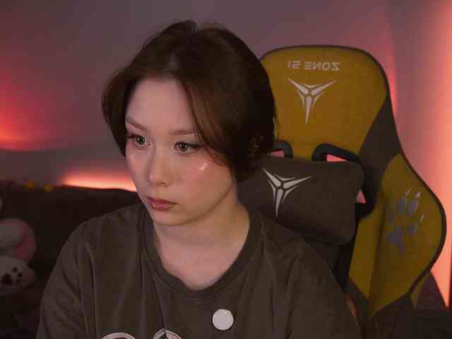 damilui webcam