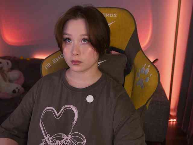 damilui webcam