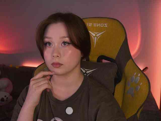 damilui webcam