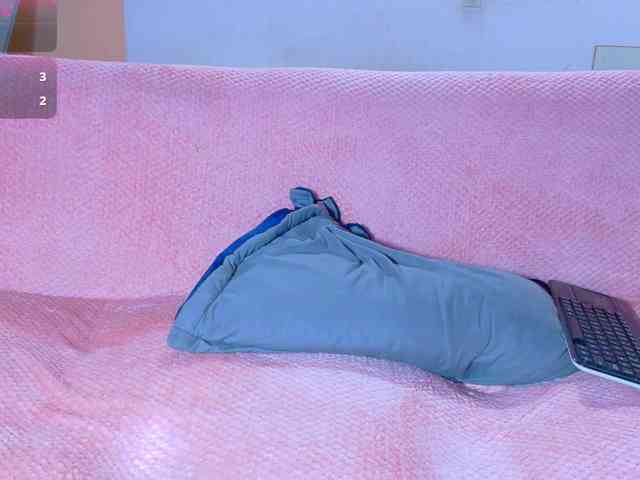 isabelle-adj1 webcam