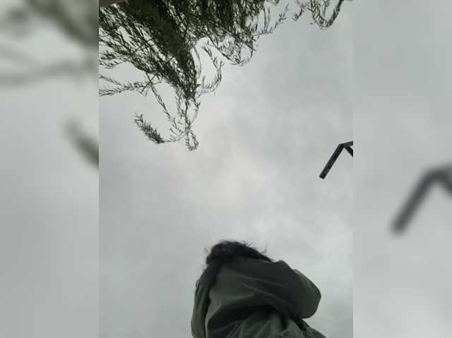 DIVo_0RA