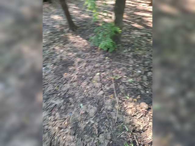 DIVo_0RA