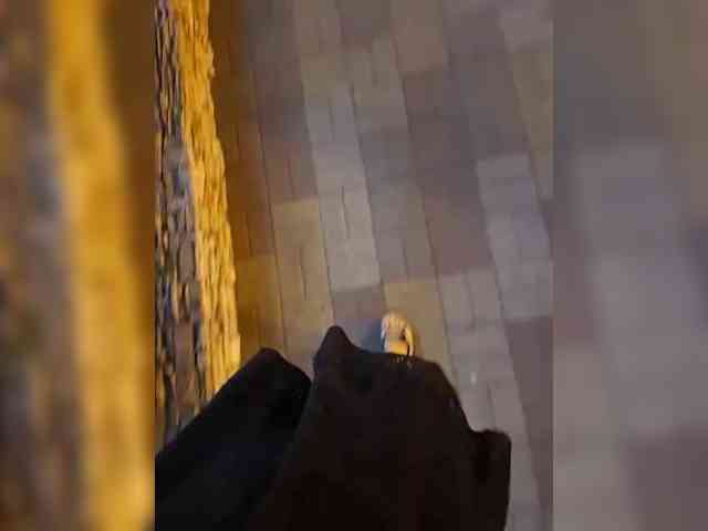 DIVo_0RA webcam
