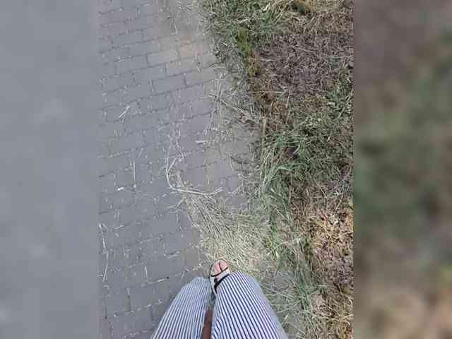 Model: O__O