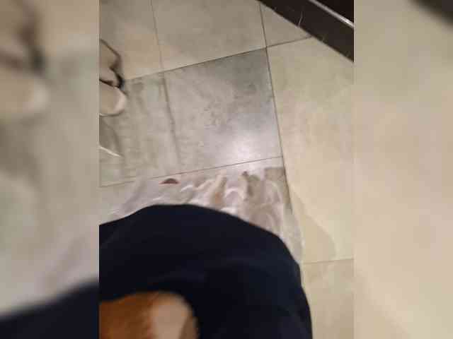 DIVo_0RA webcam