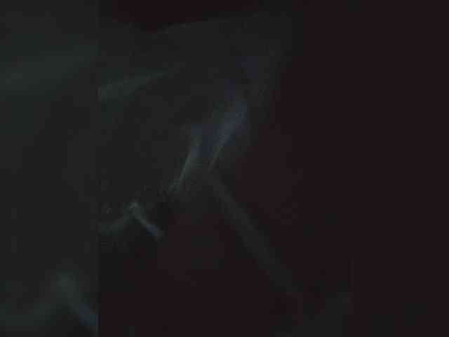DIVORA Sex Cam Show