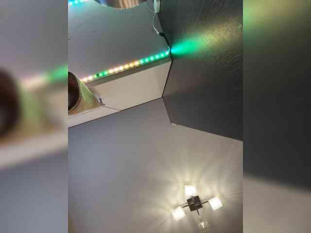 -INDICA- webcam