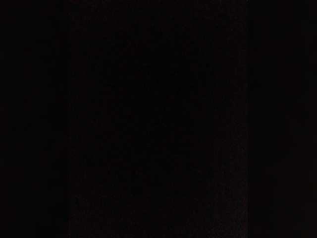 gunter7777 live cam preview