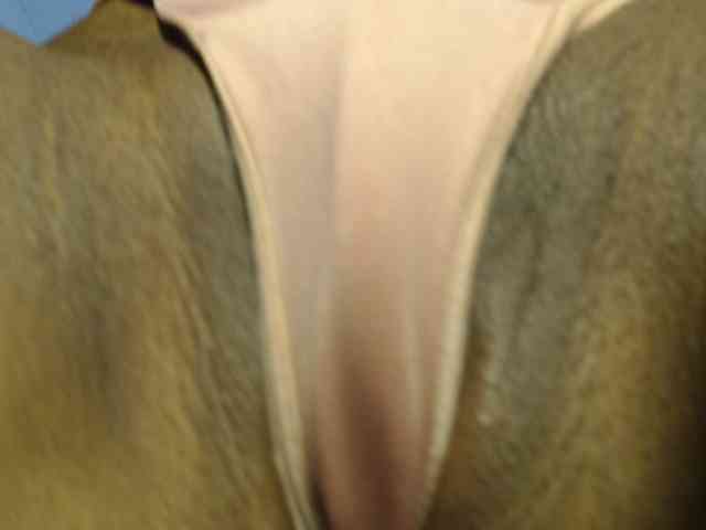 Sexyjustin202 webcam