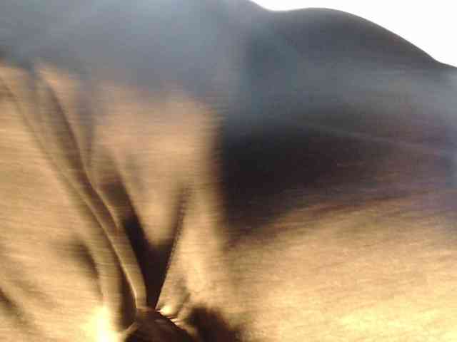 Sexyjustin202 Live Webcam on BongaCams