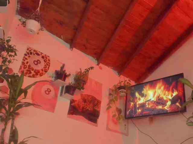 srsexy webcam