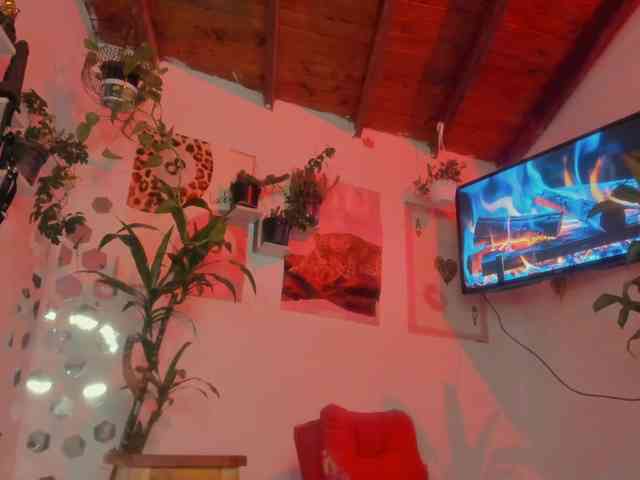 srsexy webcam