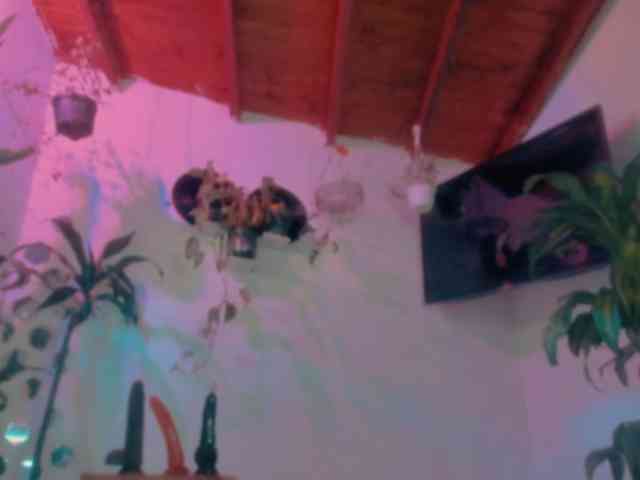 srsexy webcam