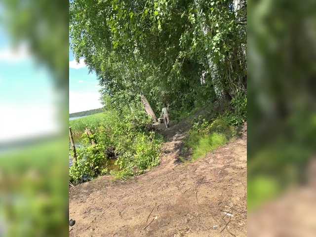 SvParochka