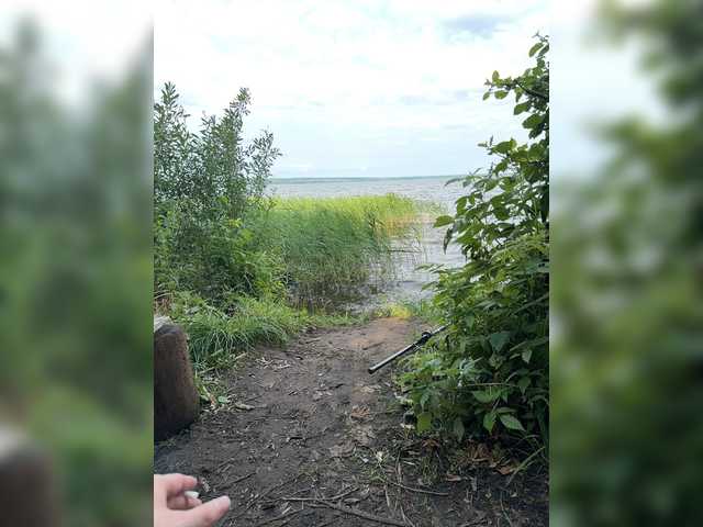 SvParochka