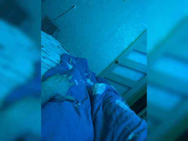SvParochka webcam