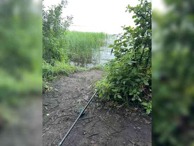 SvParochka webcam