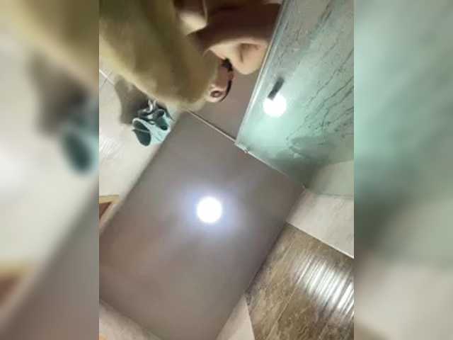 Karlacortes