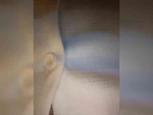 Karlacortes webcam