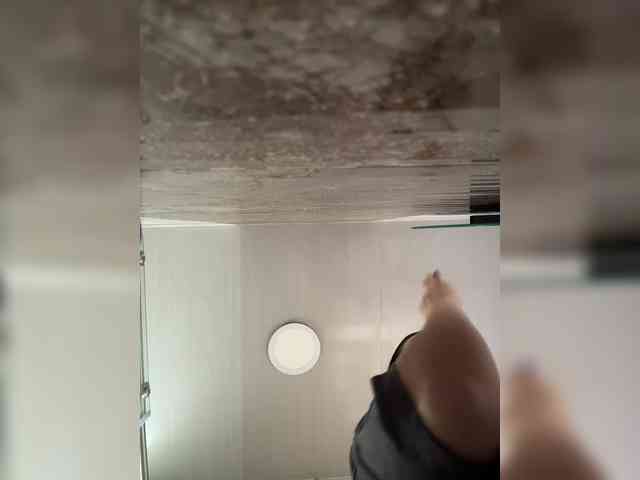 Karlacortes webcam